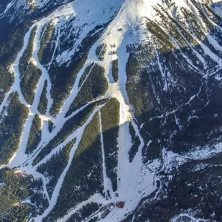 илен 433 Royal Towers 반스코